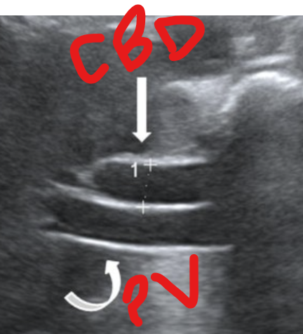 <p>double barrel shotgun sign</p>