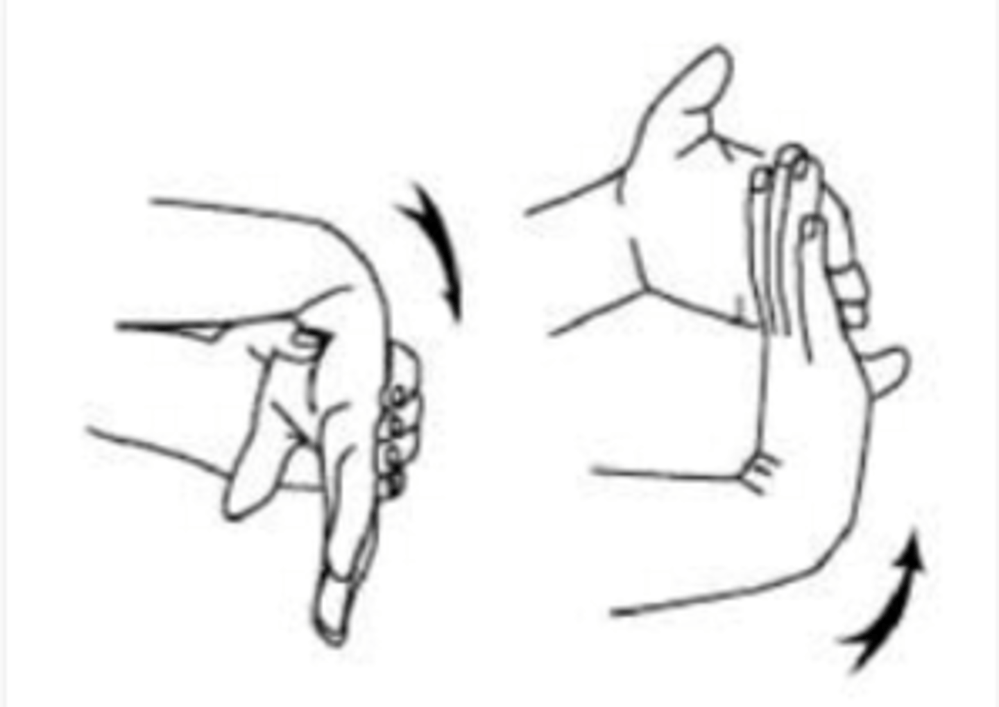 <p>In which way is the wrist joint being extended and flexed?</p>