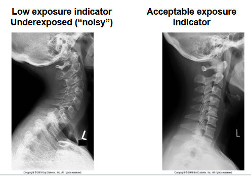 <p>What does this image show</p>