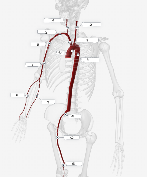 <p>3</p>