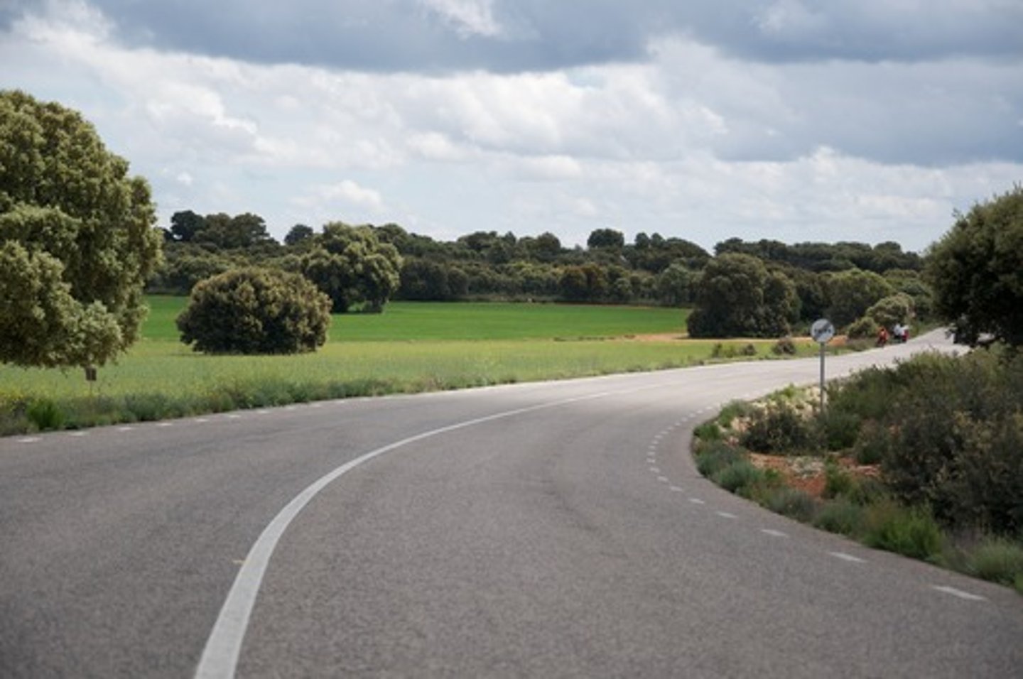 <p>la curva</p>