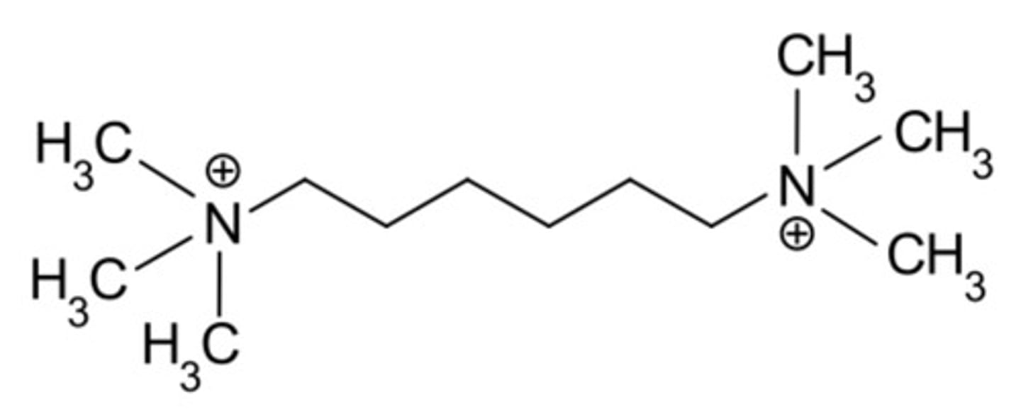 <p>Hexamethonium</p>