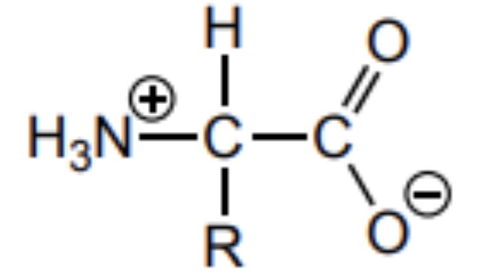 <p>The R group is unaffected </p>