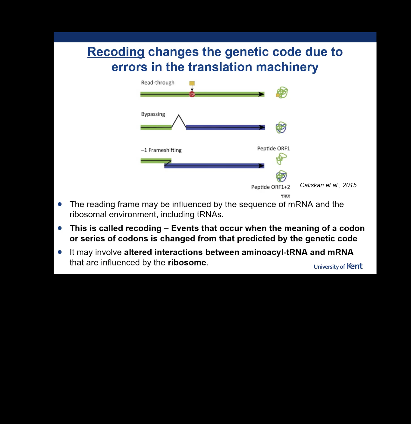 <p>Read-through, Bypassing, and <span><span>-1</span></span> Frameshifting.</p>