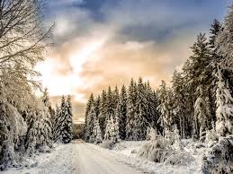 <p>Winter</p>