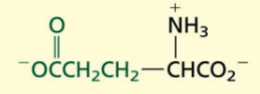 <p>Acidic</p><p>POLAR→ negative charged</p>
