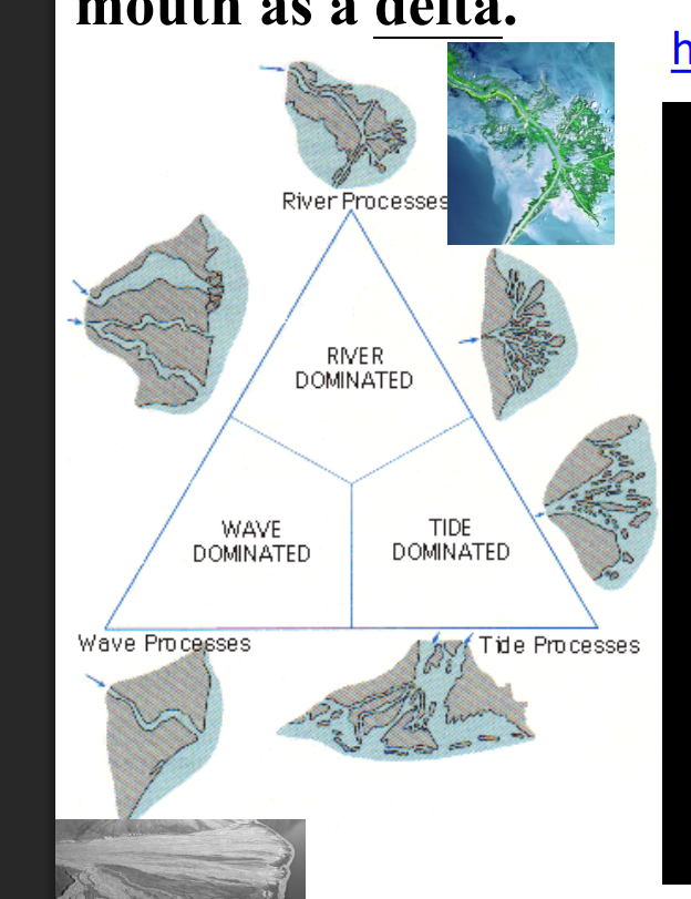 <ol><li><p class="ds-markdown-paragraph"><strong><span>River Discharge &amp; Sediment Load:</span></strong><span> The volume and type of sediment (sand, silt, clay) the river carries.</span></p></li><li><p class="ds-markdown-paragraph"><strong><span>Wave Energy:</span></strong><span> Waves can rework and redistribute sediment along the shoreline, creating beaches and barrier islands.</span></p></li><li><p class="ds-markdown-paragraph"><strong><span>Tidal Range &amp; Currents:</span></strong><span> Strong tides can scour sediment and create a network of tidal channels, preventing a classic delta shape from forming.</span></p></li><li><p class="ds-markdown-paragraph"><strong><span>Basin Topography &amp; Geology:</span></strong><span> The shape and depth of the coastline and the stability of the underlying sediment.</span></p></li></ol><p><br></p>