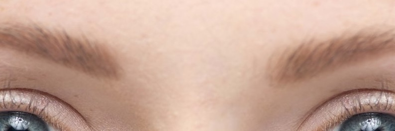 <p>Quel est le nom de la zone lisse située entre les deux sourcils, juste au-dessus du nez ?</p>