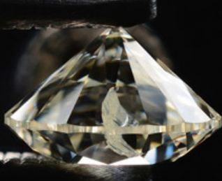 <p>What inclusions is this?</p>
