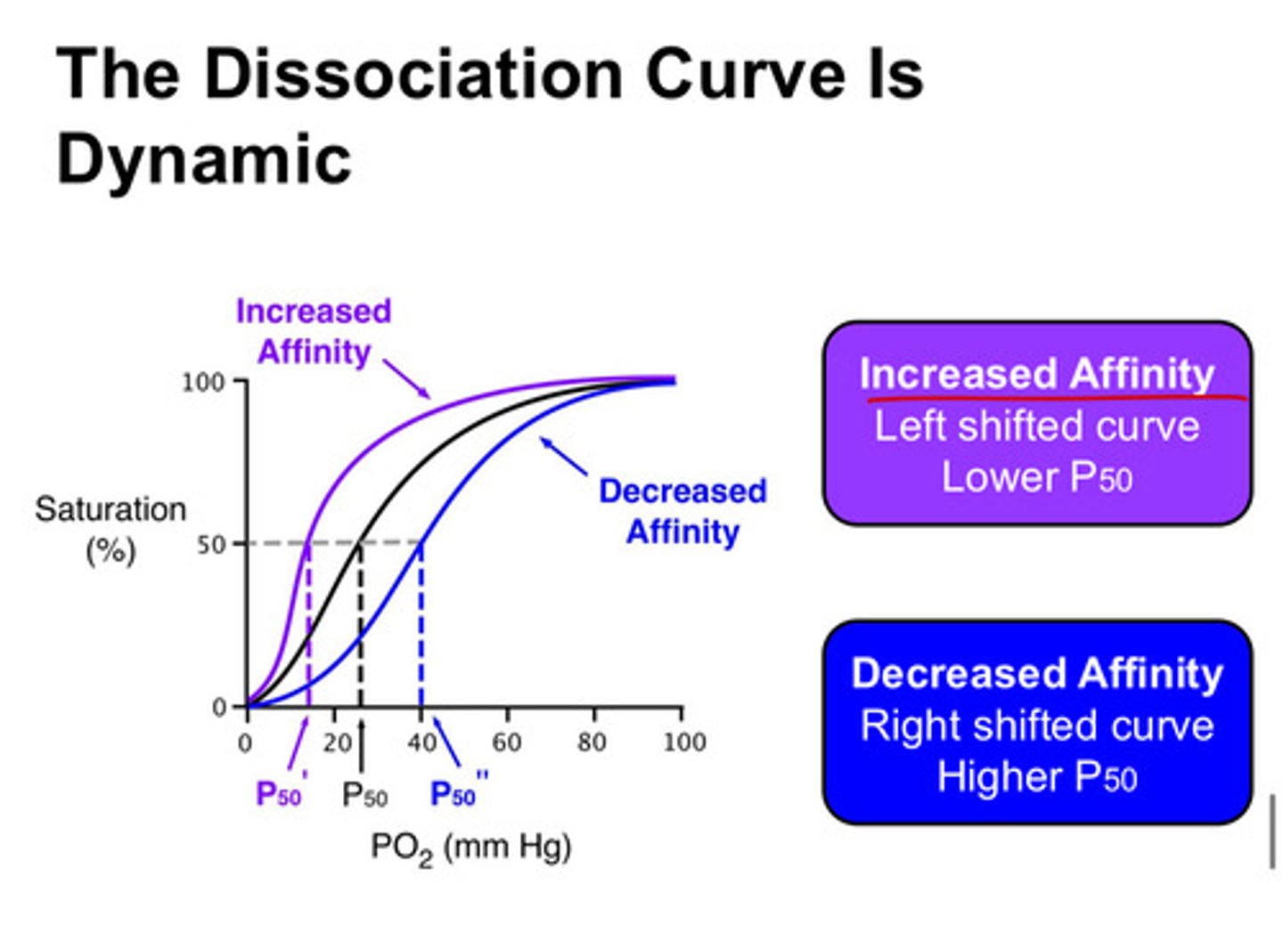 <p>means hemoglobin has increased affinity and we see a left shifted curve</p>