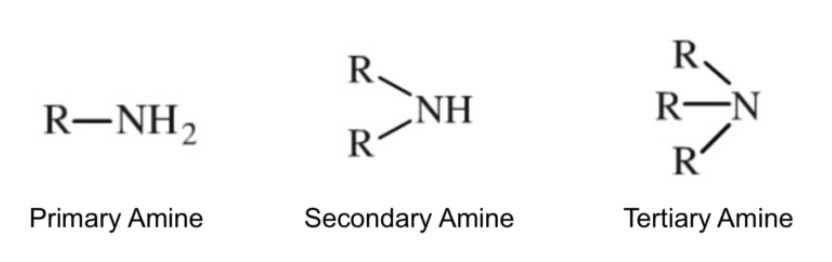 <p>Amine</p><p>Nitrogen Based</p><p>-amine</p><p>e.g. ethanamine</p>