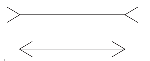 <p>what illusion is this?</p>