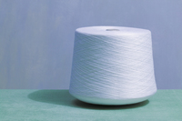 <p><strong>(a length of) a very thin </strong><span><strong>fibre</strong></span><strong>:</strong></p><p><br></p>
