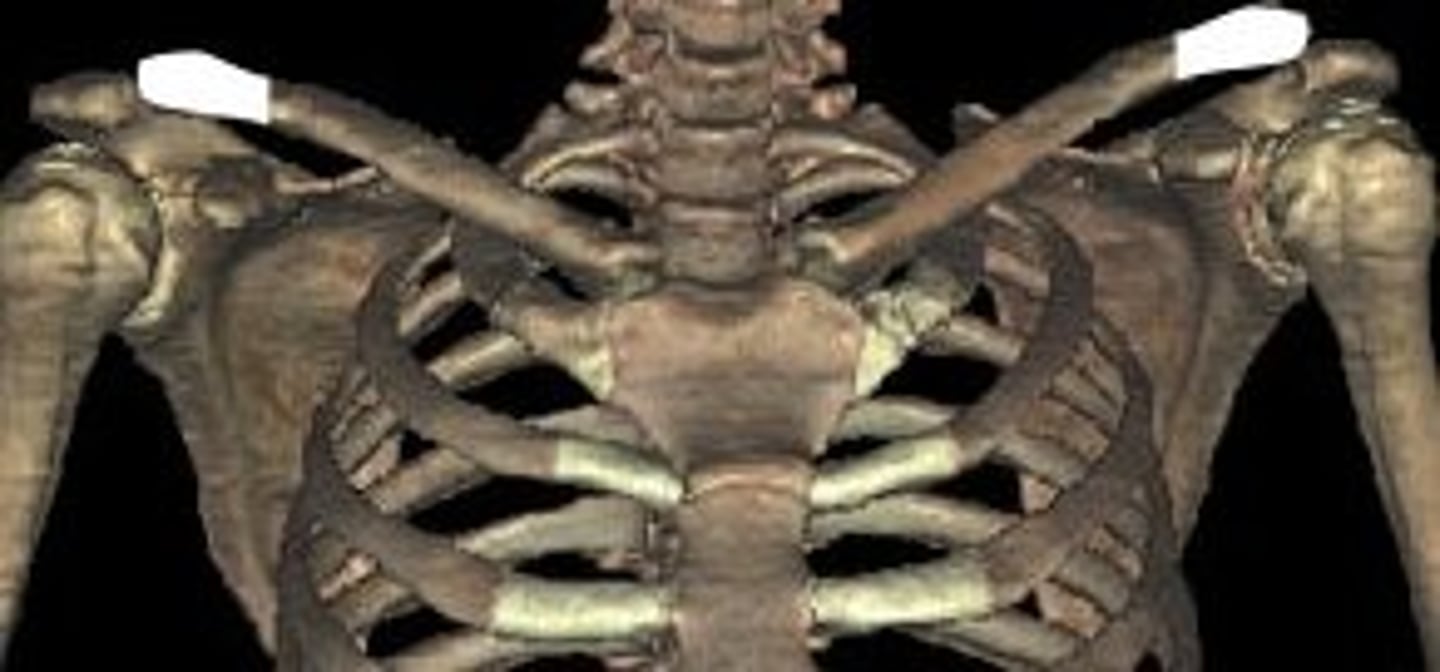 <p>what is this?</p>