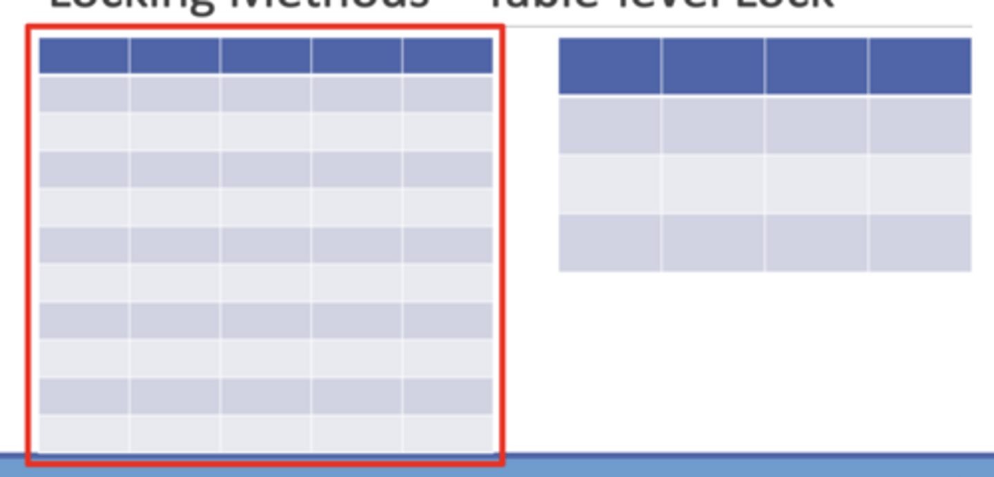 <p>a type of lock that allows only one</p><p>transaction at a time to access a table.</p>