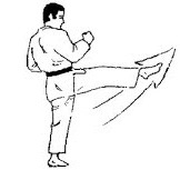 <p>Front (snap) kick</p>