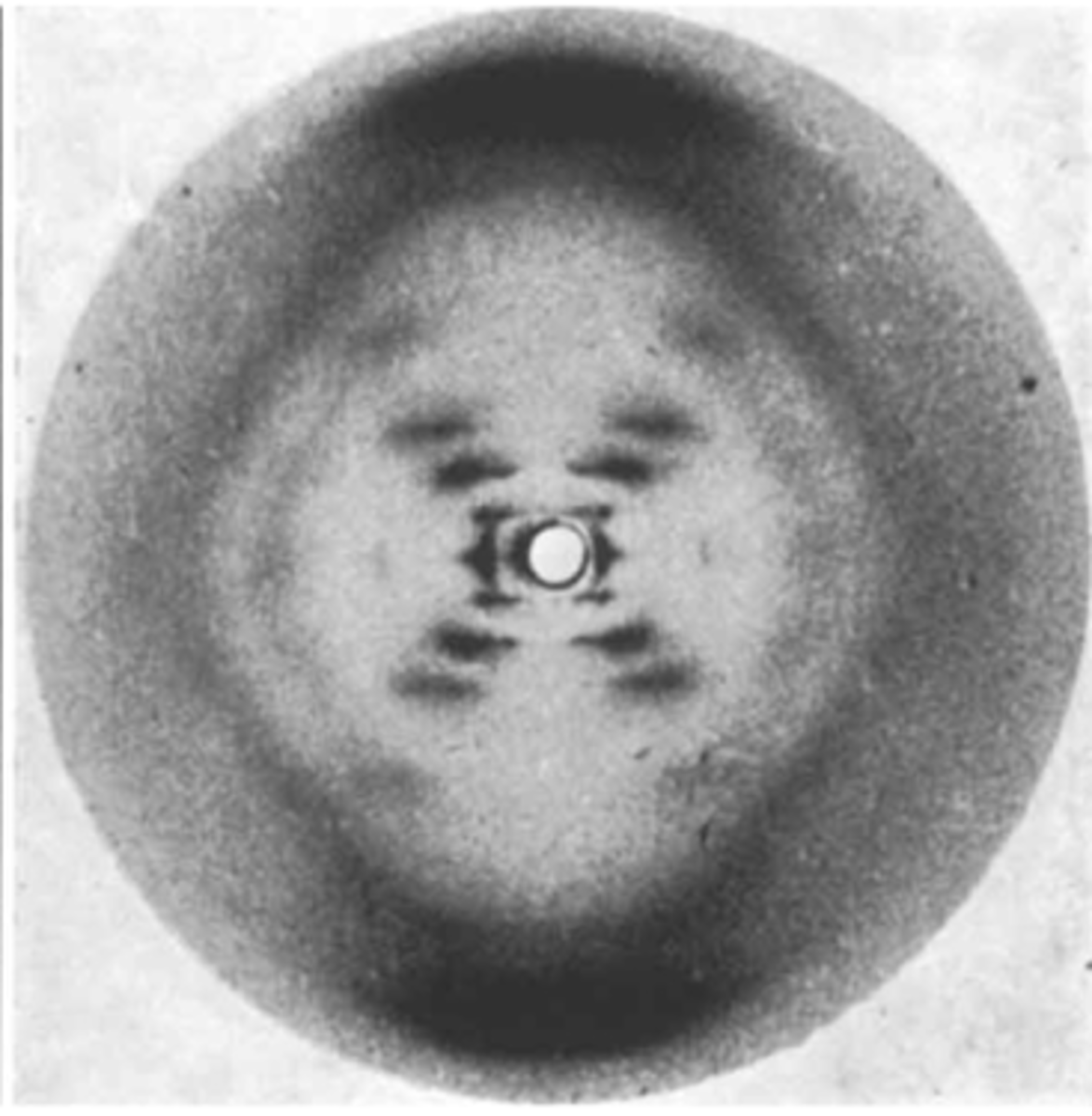 <p>The picture shows an x-ray diffraction of DNA. The x-ray diffraction of DNA led to the idea that DNA —</p>
