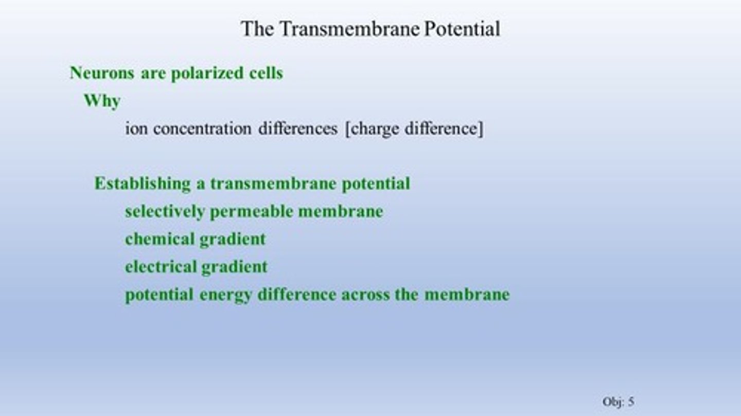 <p>electrical charge difference across a membrane</p>