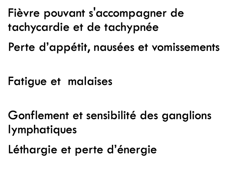            

•Fièvre pouvant s'accompagner de tachycardie et de tachypnée

•Perte d’appétit, nausées et vomissements

•Fatigue et  malaises

•Gonflement et sensibilité des ganglions lymphatiques 

•Léthargie et perte d’énergie