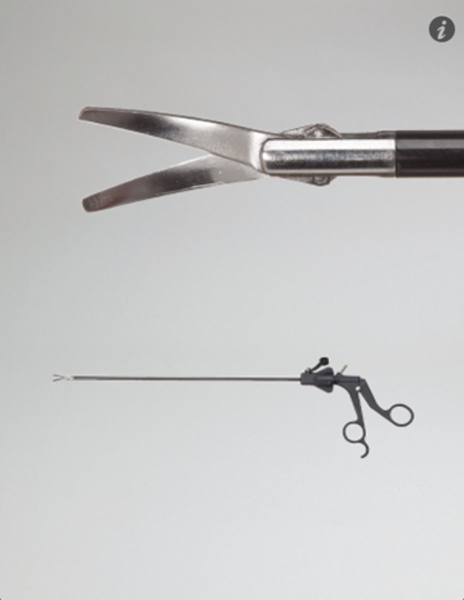 <p>instrument to visually examine the abdomen</p>