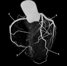 <p>Match the following</p>