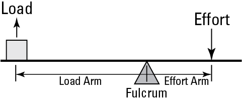 <p><span>What type of lever is depicted here?</span></p>