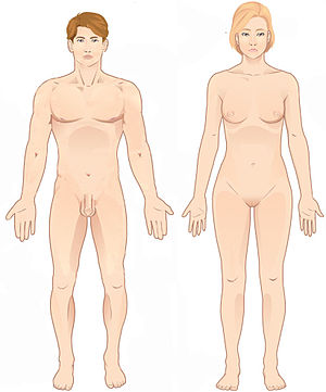 Chapter 1

What is anatomical position 