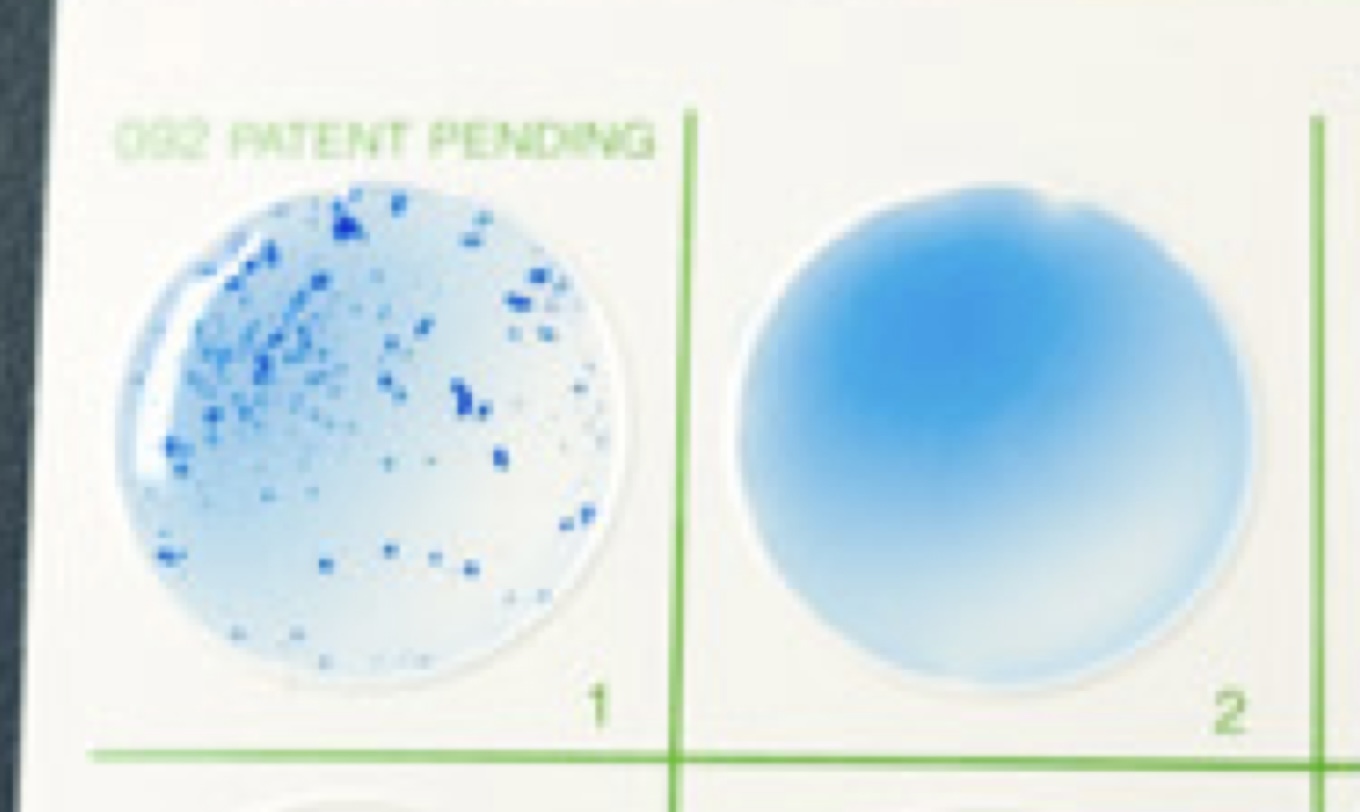 <p>rapid identification for <em>S. aureus</em></p><ul><li><p><strong>Protein A</strong> is a virulence factor found on the cell wall of only <em>S. aureus</em></p></li><li><p>antibodies in the test solution bind antigens on Protein A, resulting in a positive result of <strong>clumping</strong></p></li></ul>