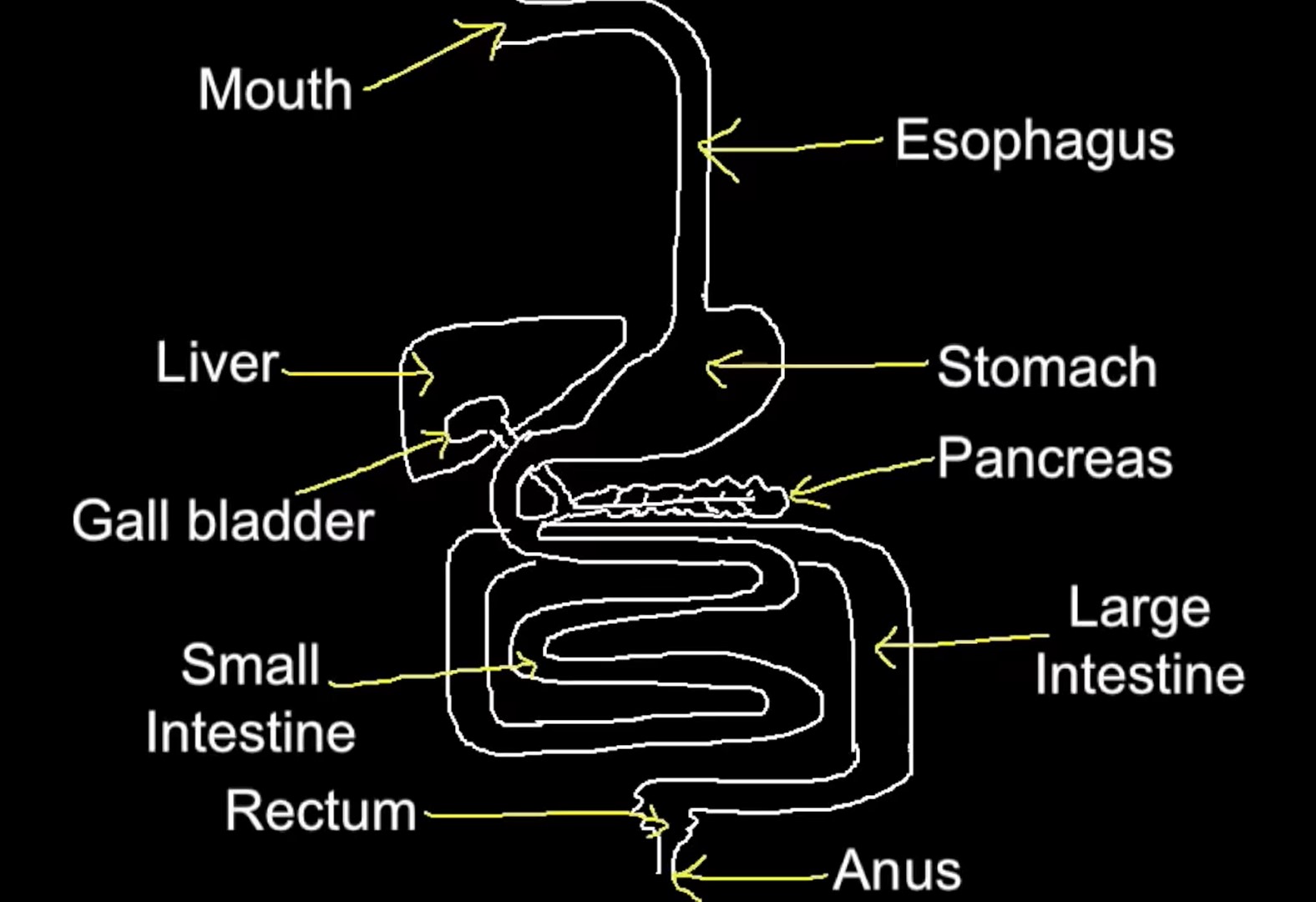 knowt flashcard image