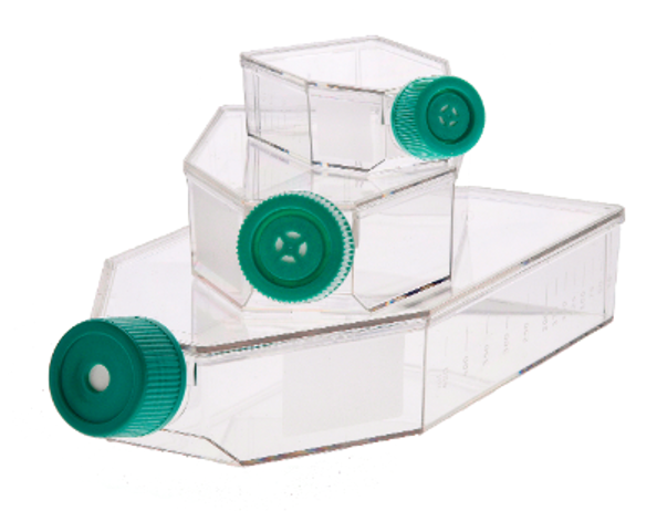 <p>used to be glass - in vitro</p><p>now plastic</p><p>most cell types must adhere to survive and divide </p>