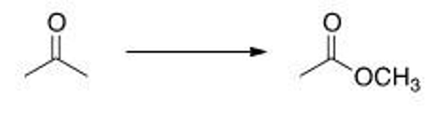 <p>What is the correct classification of the following reaction?</p><p>A. Reduction reaction</p><p>B. Oxidation reaction</p><p>C. Elimination reaction</p><p>D. Substitution reaction</p>