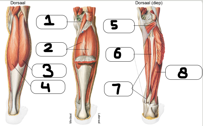 <p>wat is 3?</p>