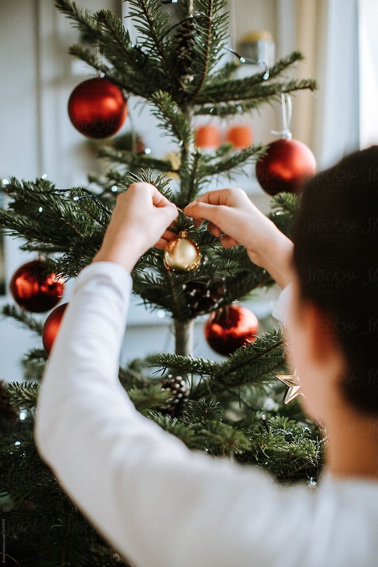 <p>Every winter my family<strong> decorates the Christmas tree</strong></p>