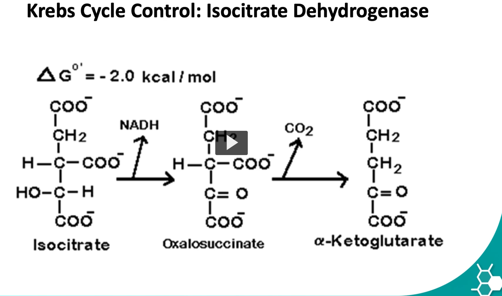 <p>the last control point is in the step where isocitrate is converted to alpha ketoglutarate by isocitrate dehydrogenase.</p><p>remember that this step is requires a multienzymatic complex</p><p>steps 1 and 3 are the control points in the Kreb’s cycle. </p>