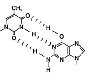 <p>Which non-standard base pair is this?</p>