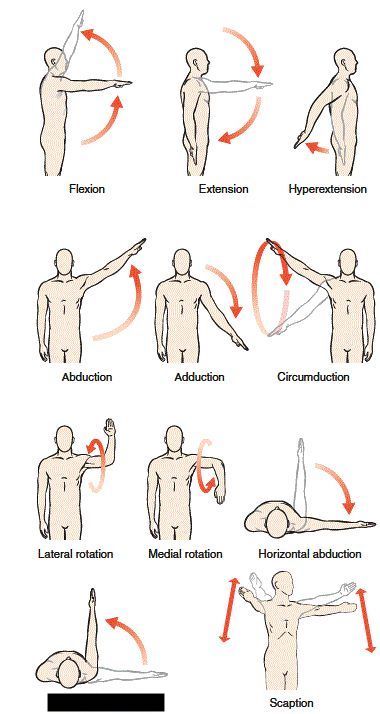 Glenohumeral joint 

what is this?
