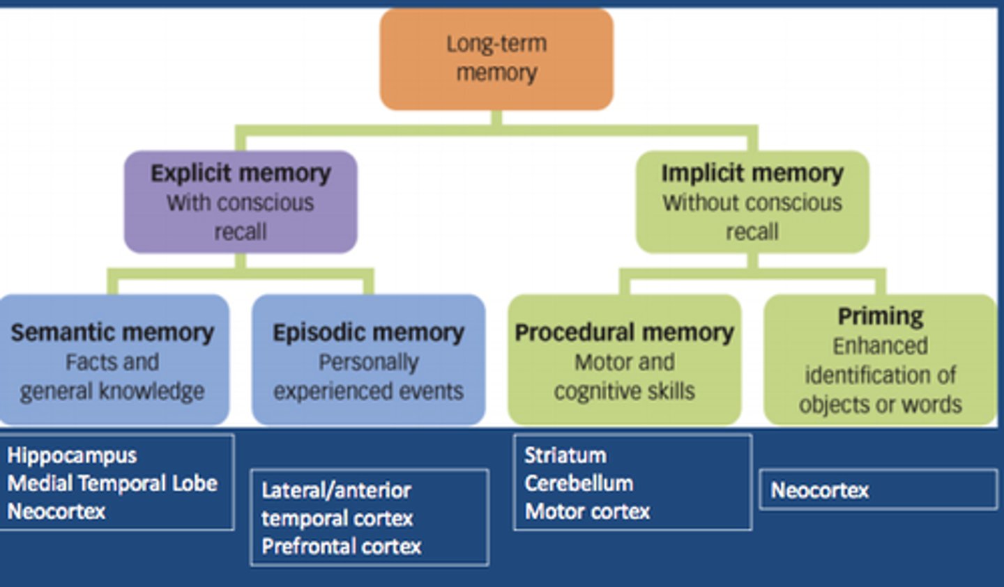 <p>The collection of past personal experiences that occurred at a particular time and place</p>