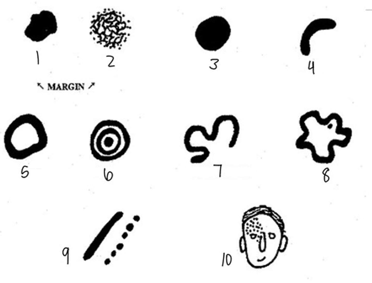 <p>5</p>