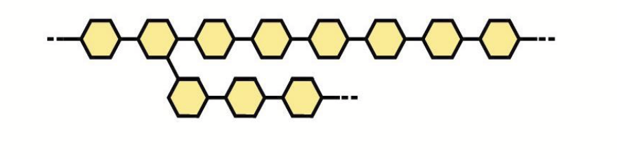 <p>Polysaccharides made from a single type of monomer.</p><p><em>glucans:</em> glucose homopolymers (e.g. starch, glycogen, cellulose, chitin)</p><p><em>mannans:</em> mannose homopolymers</p>