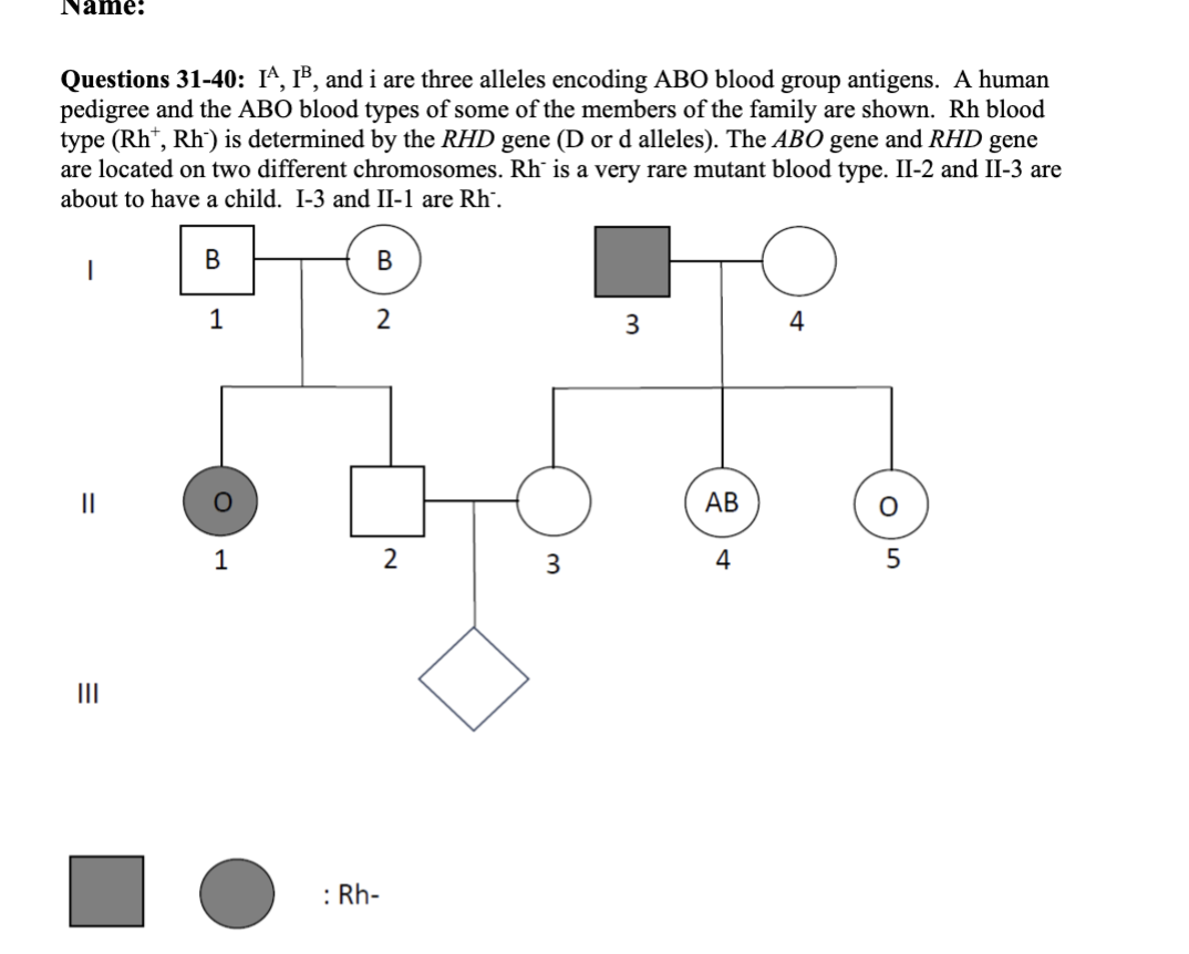 <p>31 What is the inheritance pattern of Rh blood type?</p><p>a. autosomal dominant</p><p>b. autosomal recessive</p><p>c. X-linked dominant</p><p>d. X-linked recessive</p><p>e. Y-linked</p><p>32. (True/False) I-3 must have blood type A.</p><p>33. (True/False) II-2 must have an i allele.</p><p>34. (True/False) II-5 must be heterogeneous for RHD gene.</p>