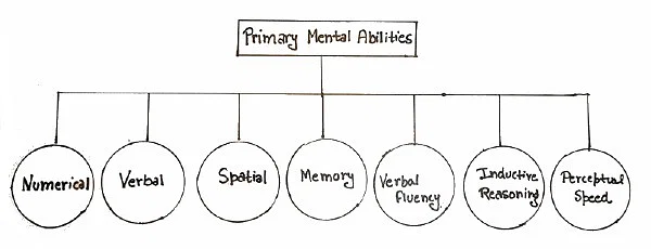 <p>a type of psychometric personality theory</p><p>= Thurstone suggested that intelligence is a composite of seven distinct <mark data-color="yellow">primary mental abilities (PMA)</mark>:</p><ul><li><p>although he was a critic of <mark data-color="green">spearman’s g-theory</mark> his work ended up supporting/being similar to it</p></li></ul><p></p><ol><li><p>verbal comprehension</p></li><li><p>word fluency</p></li><li><p>number facility</p></li><li><p>spatial visualization</p></li><li><p>associative memory</p></li><li><p>perceptual speed</p></li><li><p>reasoning</p></li></ol>