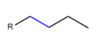 <p>the substituent has 4 carbons</p>