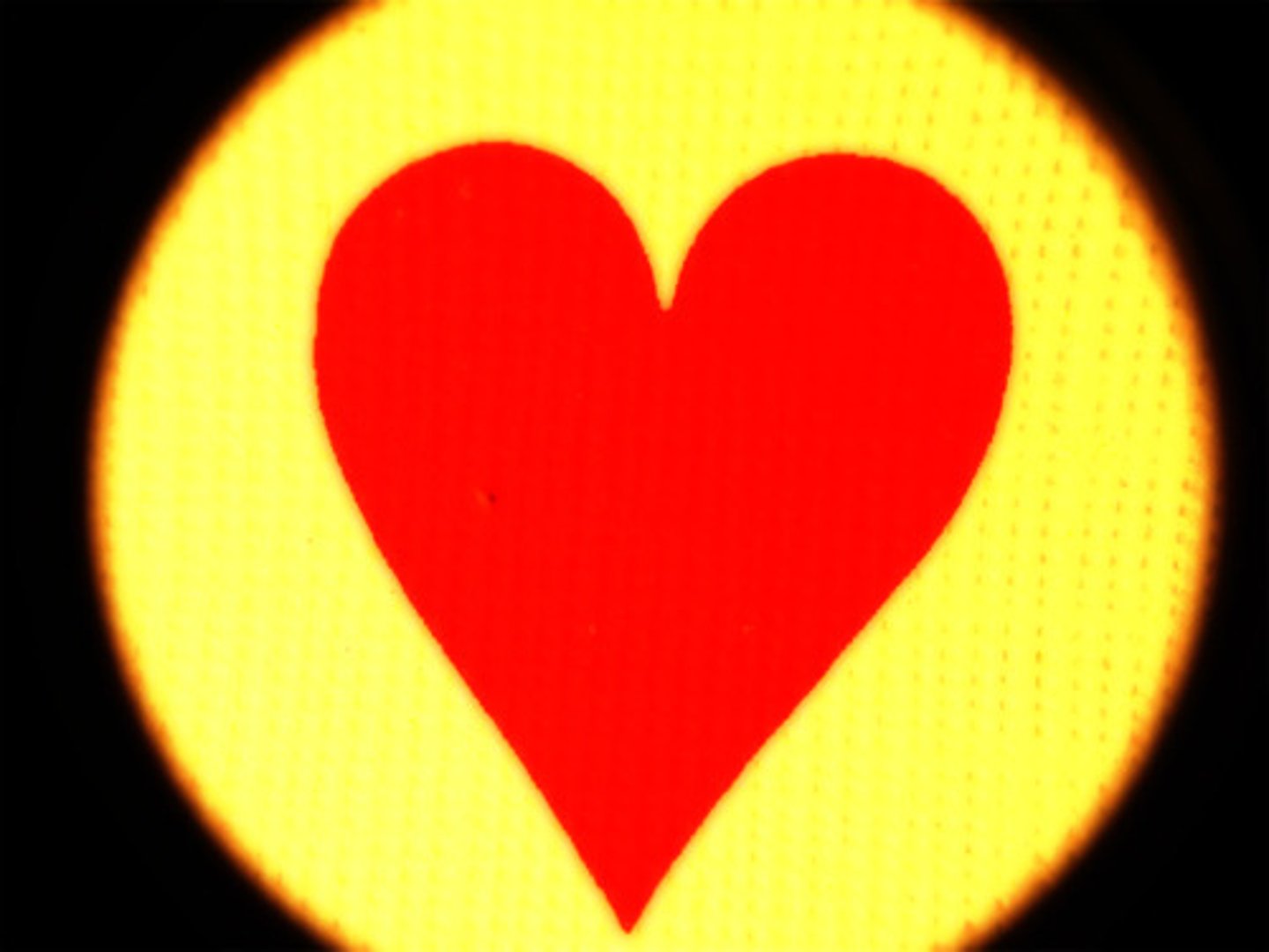<p>(adj): yêu thích</p>