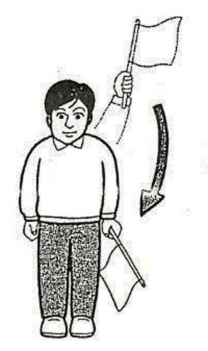 <p>さげる</p><p>hạ, giảm</p><p>ねだんを下げる</p><p>Giảm giá</p>