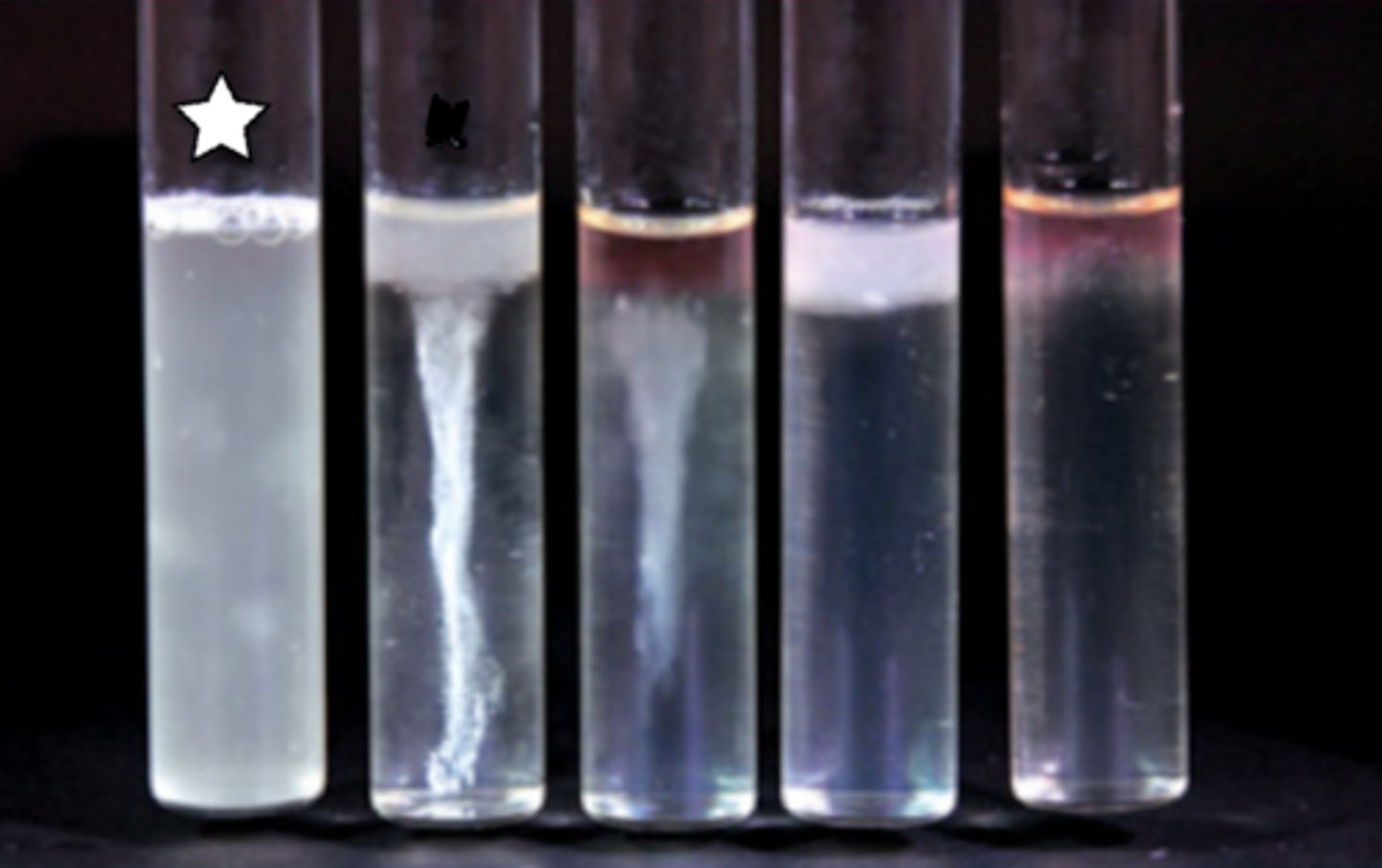 <p>FLUID THIOGLYCOLLATE BROTH</p><p>What type of organism is this based on their aerotolerance?</p>