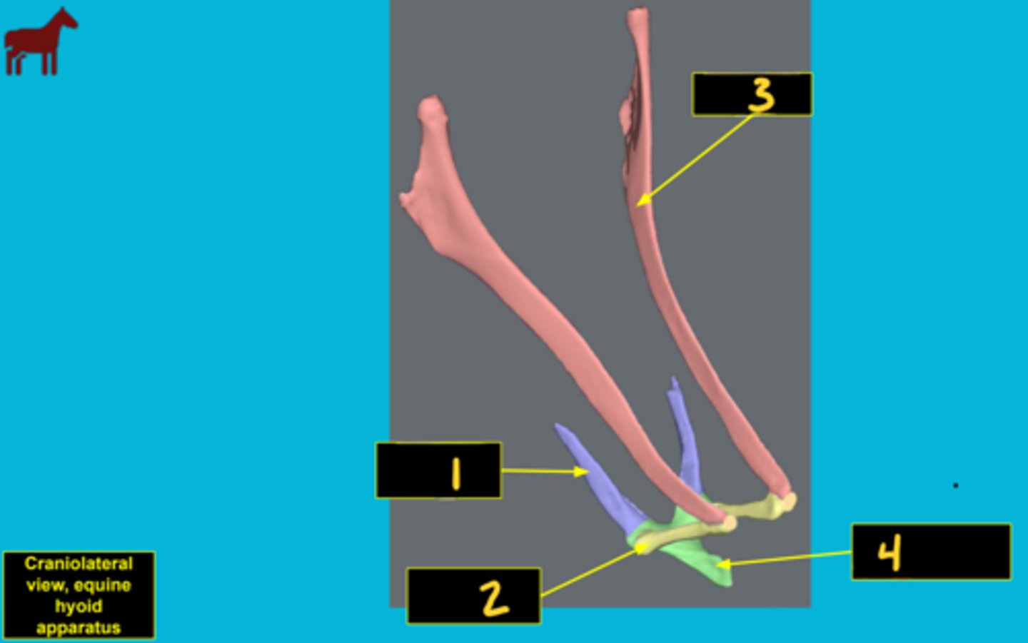 <p>What is number 2?</p>