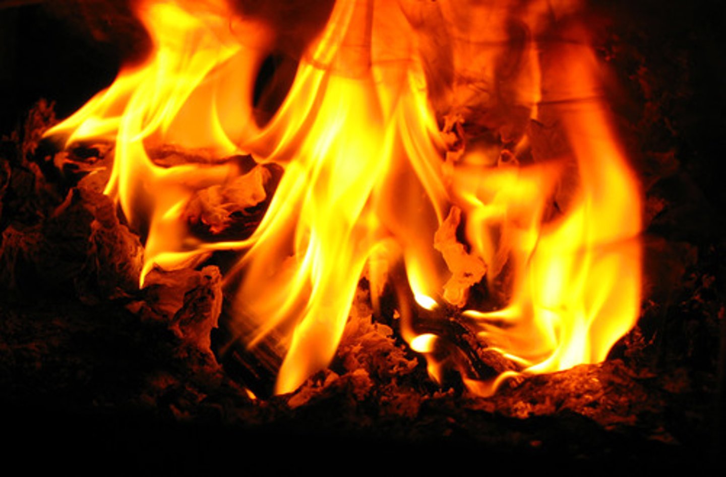 <p>fuel</p>