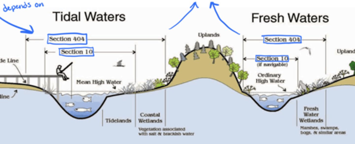 <p>- variety of laws to protect wetlands (land use, water quality, wildlife)</p><p>- jurisdiction spread over several agencies (unclear at times)</p>