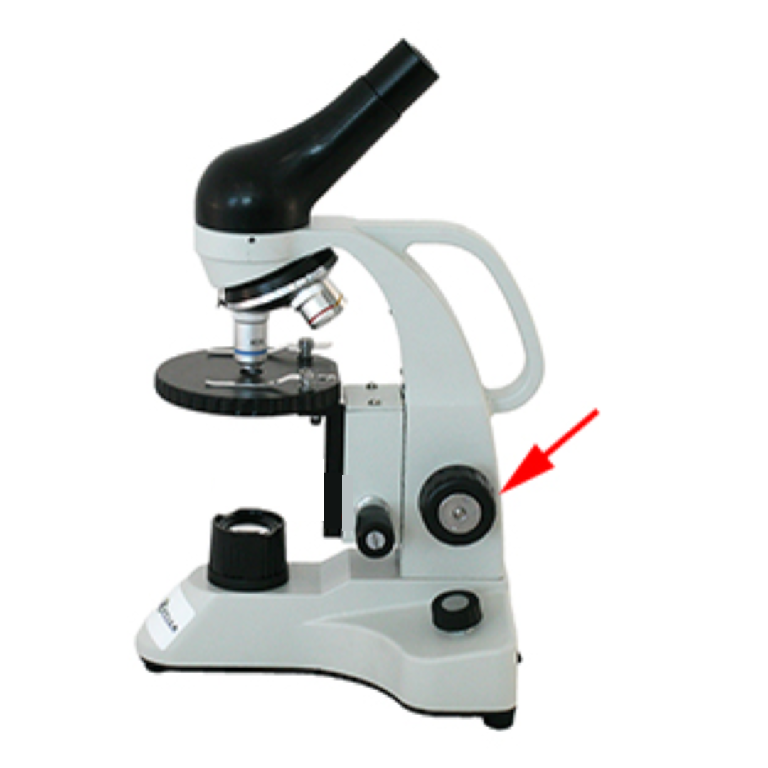 <p>It is the bigger knob used to adjust the stage higher or lower, helping to bring the specimen into general focus, especially when using the low power objective.</p>