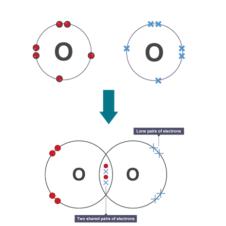 <p>bond which atoms share two pairs of electrons e.g carbon dioxide or oxygen</p>